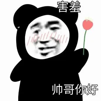 熊猫头（熊猫头）