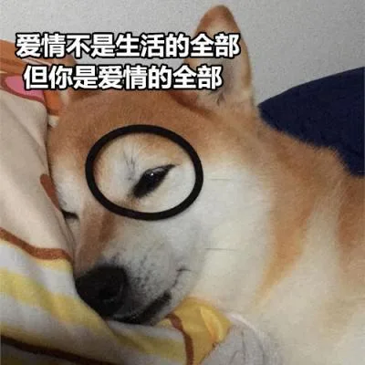 汪星人（汪星人）