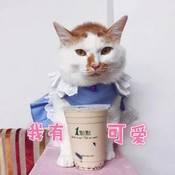 喵星人（喵星人）