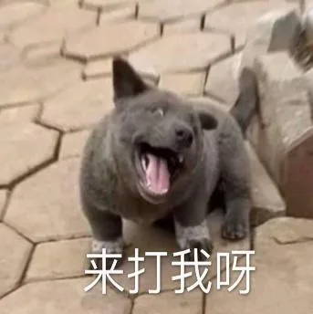 汪星人（汪星人）