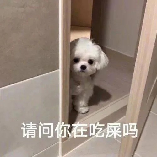 汪星人（汪星人）