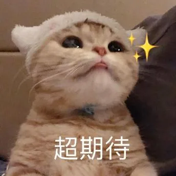喵星人（喵星人）