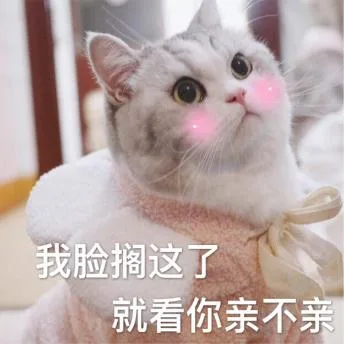 喵星人（喵星人）