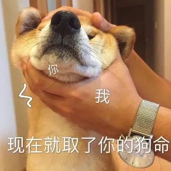 汪星人（汪星人）