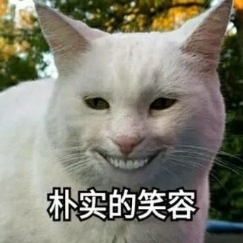喵星人（喵星人）