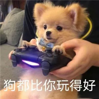 汪星人（汪星人）
