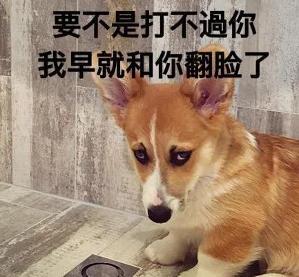 汪星人（汪星人）