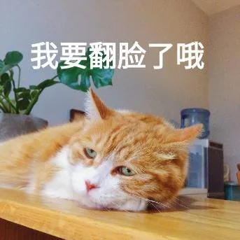 喵星人（喵星人）