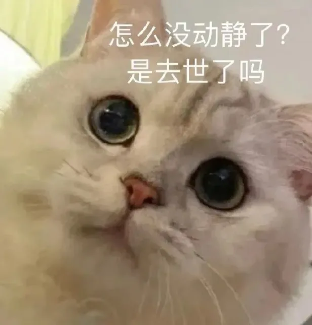 喵星人（喵星人）