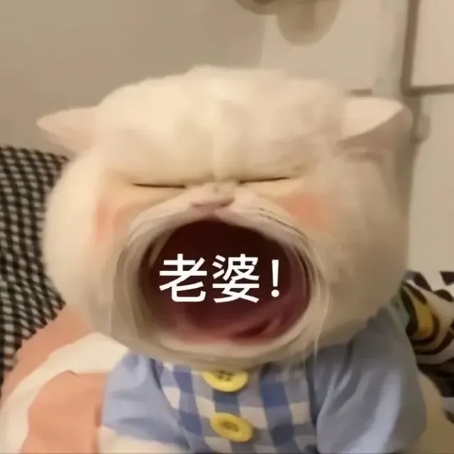喵星人（喵星人）