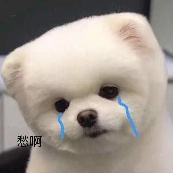 汪星人（汪星人）