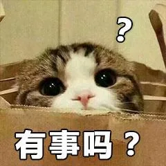 喵星人（喵星人）