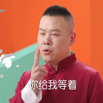 岳云鹏（岳云鹏）