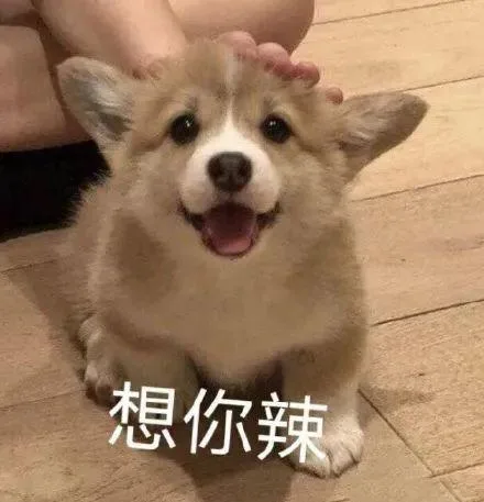 汪星人（汪星人）