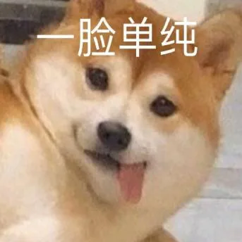 汪星人（汪星人）