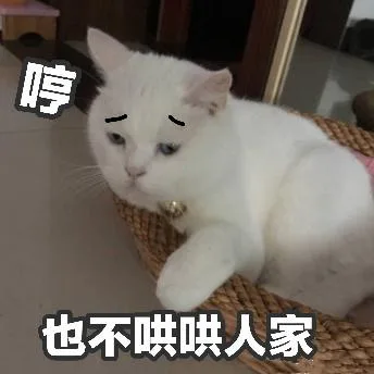 喵星人（喵星人）