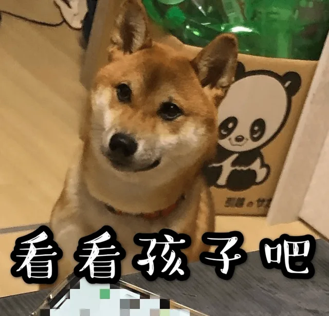 汪星人（汪星人）