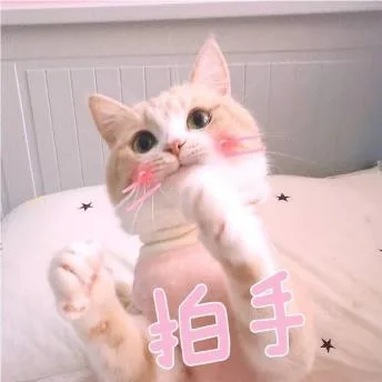 喵星人（喵星人）
