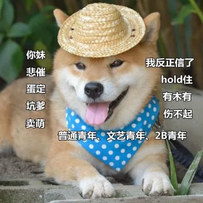 汪星人（汪星人）