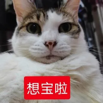 斗图（斗图）