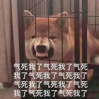 汪星人（汪星人）
