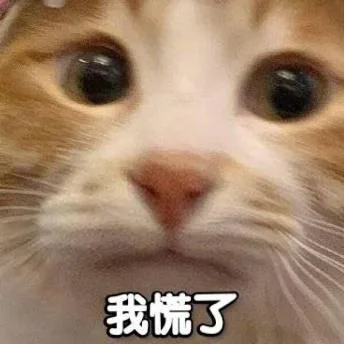 喵星人（喵星人）
