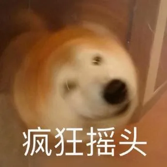 汪星人（汪星人）