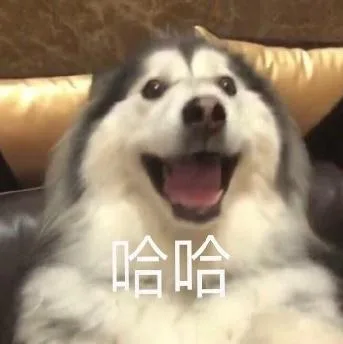 汪星人（汪星人）