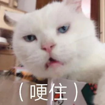 喵星人（喵星人）