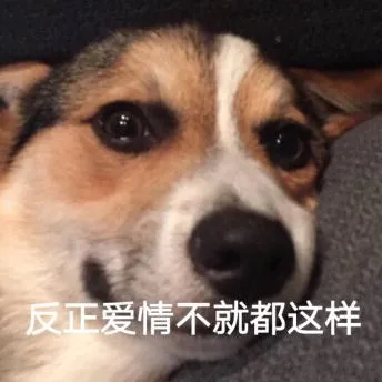 汪星人（汪星人）
