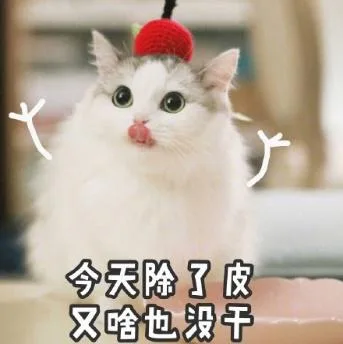 喵星人（喵星人）