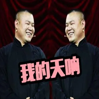 岳云鹏（岳云鹏）
