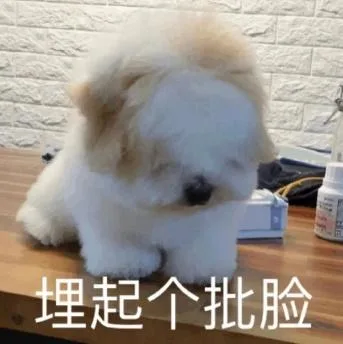 汪星人（汪星人）